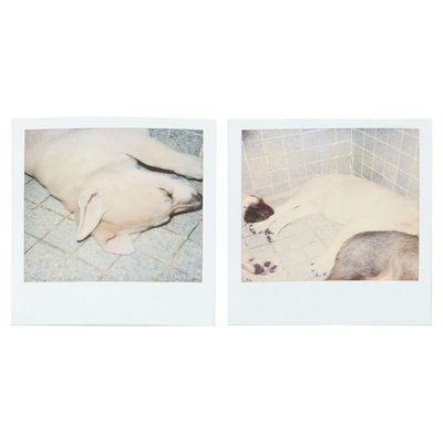 Miquel Arnal, Polaroid Photographs, Set of 2-WM-1157501