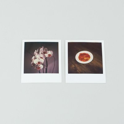 Miquel Arnal, Polaroid Photographs, Set of 2-WM-1157912