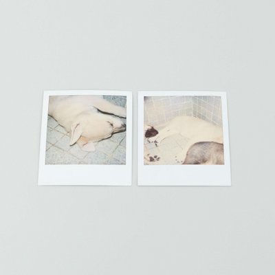 Miquel Arnal, Polaroid Photographs, Set of 2-WM-1157501