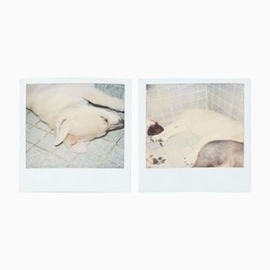 Miquel Arnal, Polaroid Photographs, Set of 2-WM-1157501