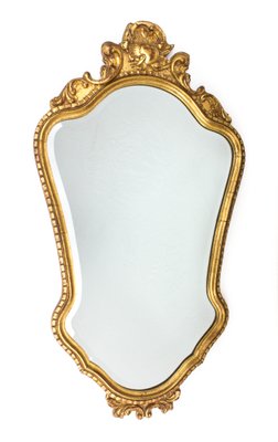 Mirror in an Ornamental Frame-FSD-1112667