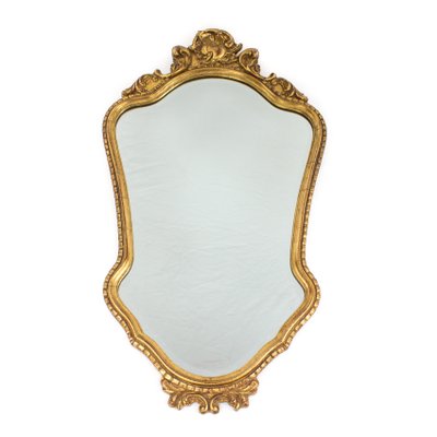 Mirror in an Ornamental Frame-FSD-1112667