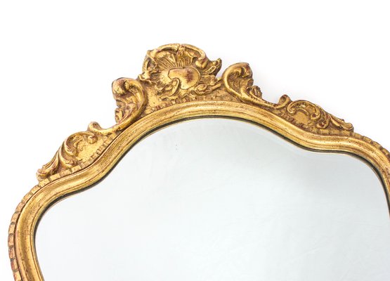 Mirror in an Ornamental Frame-FSD-1112667