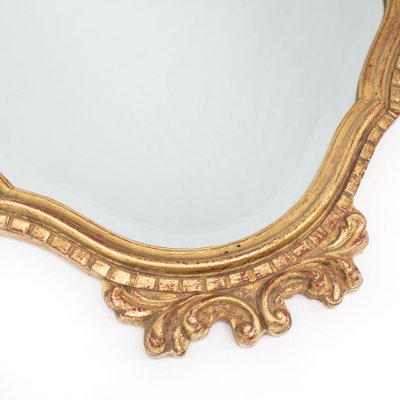 Mirror in an Ornamental Frame-FSD-1112667