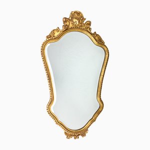 Mirror in an Ornamental Frame-FSD-1112667