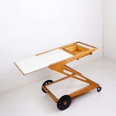 Mobilo Pe03 Serving Trolley by Cees Braakman for Pastoe, 1950s-NYF-2018951