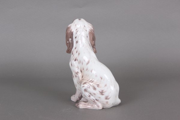 Model 1186 Hand-Painted Dog by Dahl Jensen for Royal Copenhagen, 1960s-DQ-429008