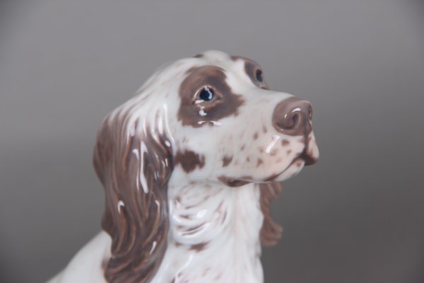 Model 1186 Hand-Painted Dog by Dahl Jensen for Royal Copenhagen, 1960s-DQ-429008