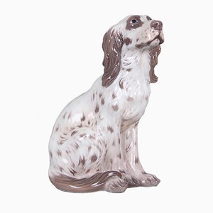 Model 1186 Hand-Painted Dog by Dahl Jensen for Royal Copenhagen, 1960s-DQ-429008