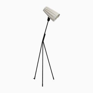 Model 2612 Floor Lamp by Eje Ahlgren for Luco Armaturfabrik, Sweden, 1950s-LIV-1787998