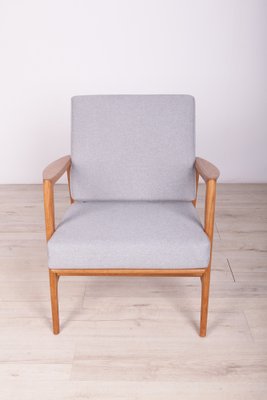 Model 300-139 Armchair from Swarzędz, 1960s-NIT-1705107