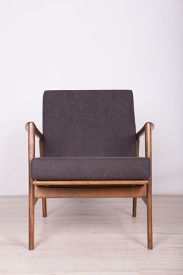 Model 300-139 Armchair from Swarzędzka Factory, 1960s-NIT-801699