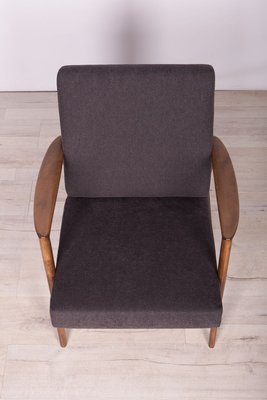 Model 300-139 Armchair from Swarzędzka Factory, 1960s-NIT-801699