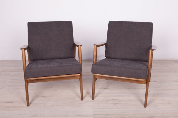 Model 300-139 Armchairs from Swarzędzka Furniture Factory, 1960s, Set of 2-NIT-831801