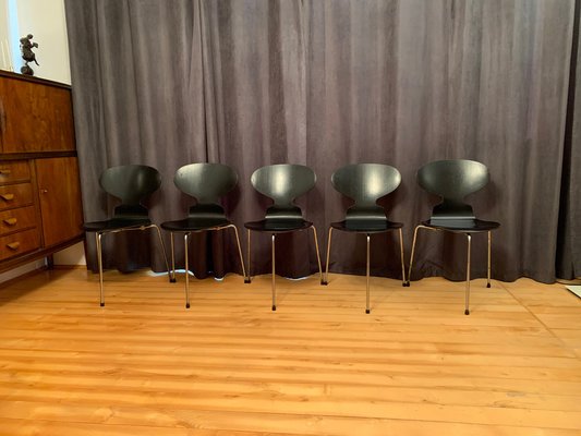 Model 3100 Chairs by Arne Jacobsen, Fritz Hansen, Denmark, 1963, Set of 5-VQM-1396405