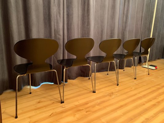 Model 3100 Chairs by Arne Jacobsen, Fritz Hansen, Denmark, 1963, Set of 5-VQM-1396405