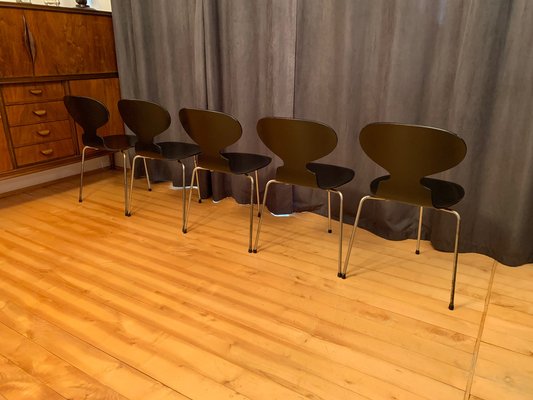 Model 3100 Chairs by Arne Jacobsen, Fritz Hansen, Denmark, 1963, Set of 5-VQM-1396405