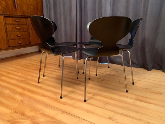 Model 3100 Chairs by Arne Jacobsen, Fritz Hansen, Denmark, 1963, Set of 5-VQM-1396405