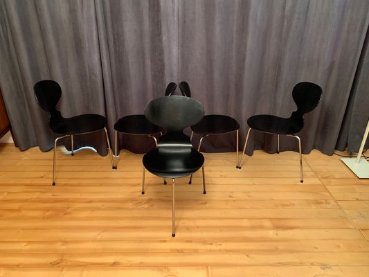 Model 3100 Chairs by Arne Jacobsen, Fritz Hansen, Denmark, 1963, Set of 5-VQM-1396405