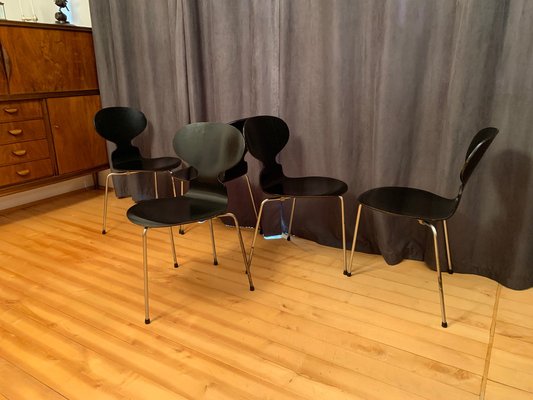 Model 3100 Chairs by Arne Jacobsen, Fritz Hansen, Denmark, 1963, Set of 5-VQM-1396405