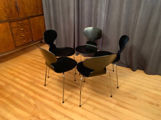 Model 3100 Chairs by Arne Jacobsen, Fritz Hansen, Denmark, 1963, Set of 5-VQM-1396405