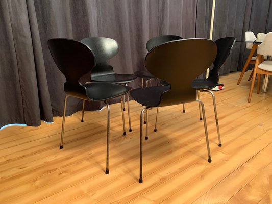 Model 3100 Chairs by Arne Jacobsen, Fritz Hansen, Denmark, 1963, Set of 5-VQM-1396405