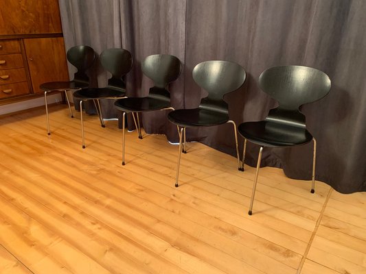 Model 3100 Chairs by Arne Jacobsen, Fritz Hansen, Denmark, 1963, Set of 5-VQM-1396405