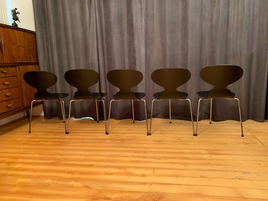 Model 3100 Chairs by Arne Jacobsen, Fritz Hansen, Denmark, 1963, Set of 5-VQM-1396405