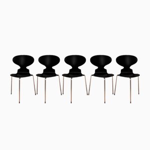 Model 3100 Chairs by Arne Jacobsen, Fritz Hansen, Denmark, 1963, Set of 5-VQM-1396405