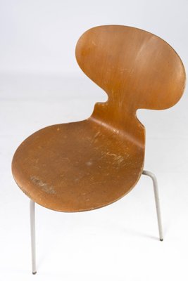 Model 3101 Ant Chairs in Light Wood by Arne Jacobsen for Fritz Hansen, 1950s, Set of 4-UY-952728