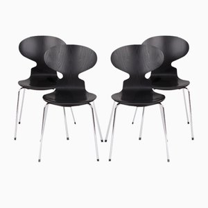 Model 3101 Chairs by Arne Jacobsen for Fritz Hansen, Denmark, 2004, Set of 4-DQ-1819238