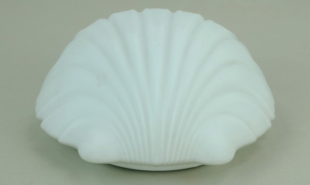 Model A 402 Mussel-Shaped Wall Lamp in White Glass and Satin Glass from Limburg, 1970s