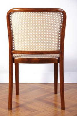 Model A 811 Chair by Josef Hoffmann & Josef Frank for Thonet, 1920s-IND-929157