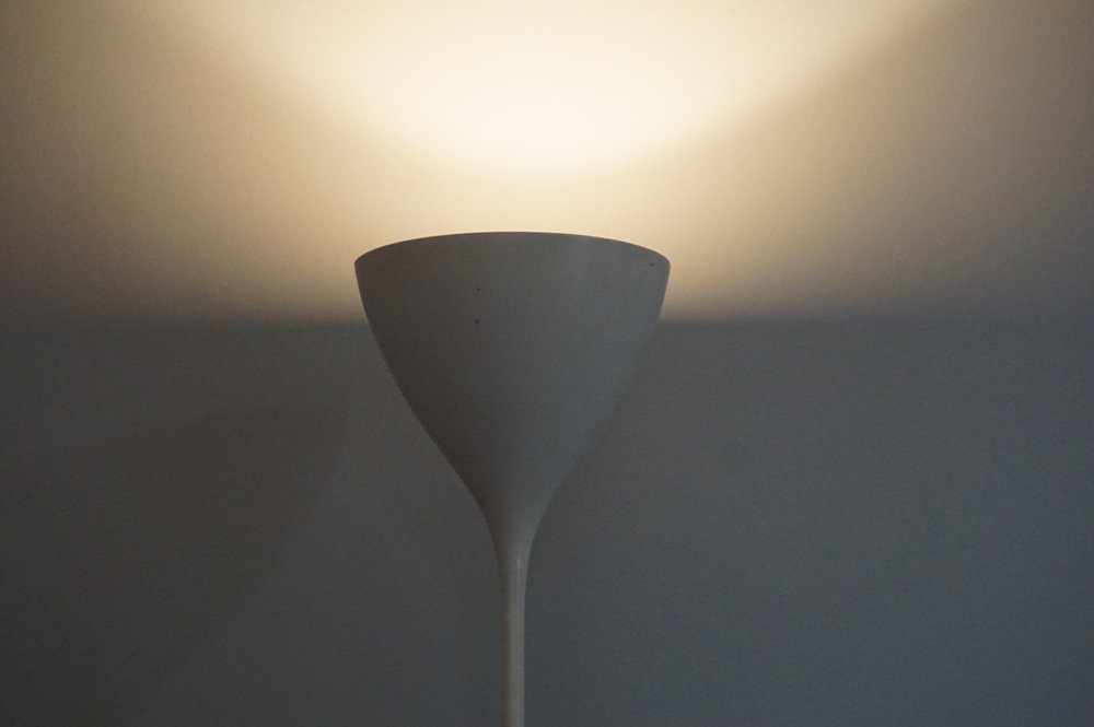 Model BTI Floor Lamp from B.A.G. Turgi