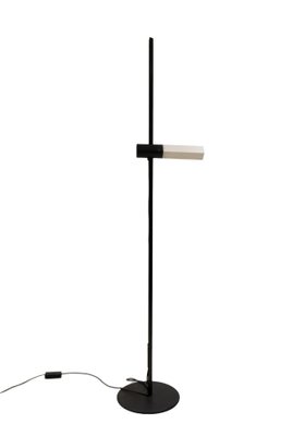 Model Caltha Adjustable Floor Lamp by Gianfranco Frattini for Luci, 1982-GCG-771920