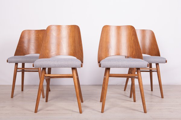 Model Lollipop Dining Chairs from Tatra, 1960s, Set of 4-NIT-739863