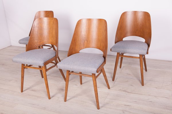 Model Lollipop Dining Chairs from Tatra, 1960s, Set of 4-NIT-739863