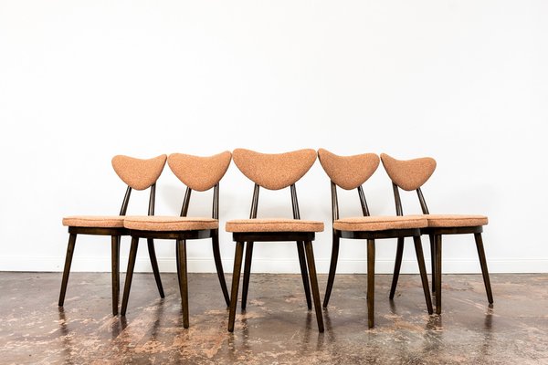 Model No. 124 Dining Chairs by Helena & Jerzy Kurmanowicz, 1960s, Set of 5-IXL-1745385