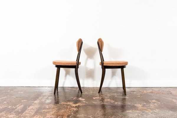 Model No. 124 Dining Chairs by Helena & Jerzy Kurmanowicz, 1960s, Set of 5-IXL-1745385