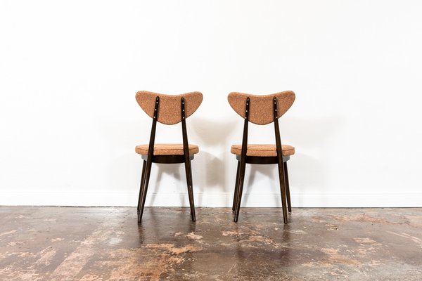 Model No. 124 Dining Chairs by Helena & Jerzy Kurmanowicz, 1960s, Set of 5-IXL-1745385