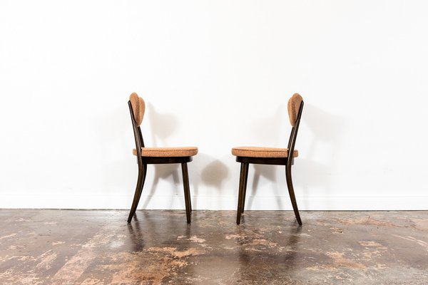 Model No. 124 Dining Chairs by Helena & Jerzy Kurmanowicz, 1960s, Set of 5-IXL-1745385