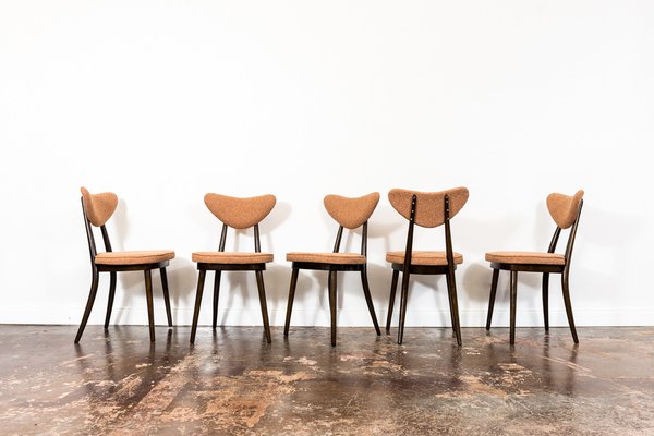 Model No. 124 Dining Chairs by Helena & Jerzy Kurmanowicz, 1960s, Set of 5-IXL-1745385