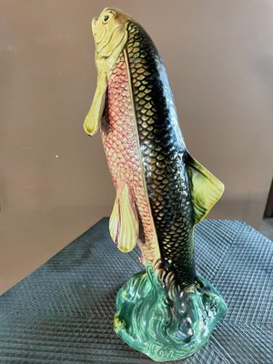 Model of a Fish-QJM-1264548