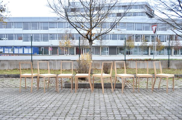 Model PLY / Plywood Chairs by Jasper Morrison for Vitra, 2009, Set of 8-UF-1752001