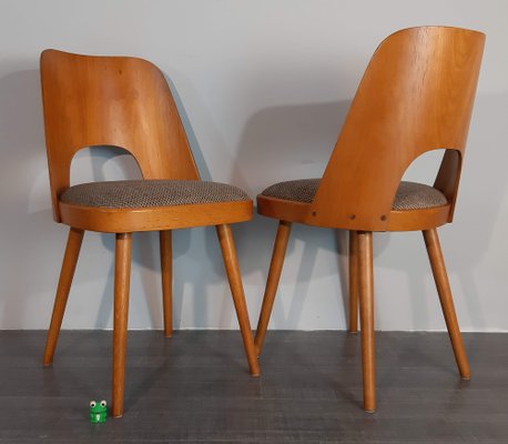 Model TON515 Chairs by Oswald Haerdtl, 1955, Set of 6-EYI-2041237