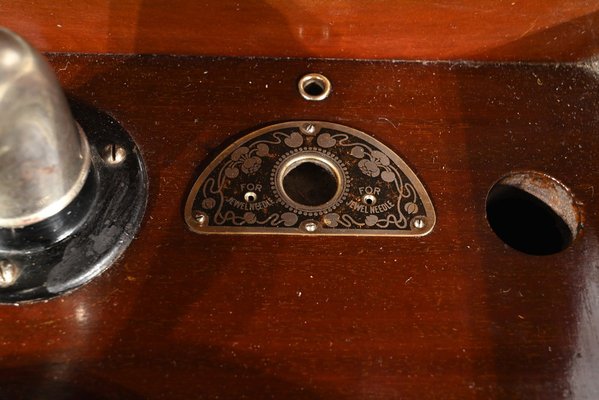 Model VII Phonograph in Mahogany from Silvertone, 1920s-RVK-1819248