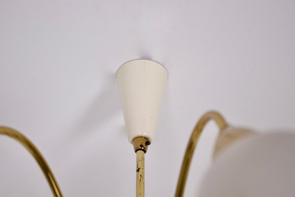 Modernist 9 Arm Light Light in Solid Brass from Vereinigte Werkstätten München, 1950s-OWS-1706930