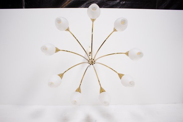 Modernist 9 Arm Light Light in Solid Brass from Vereinigte Werkstätten München, 1950s-OWS-1706930