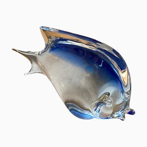 Modernist Blue Murano Glass Tropical Fish in the Style of Seguso, 1970s-NMK-1393909