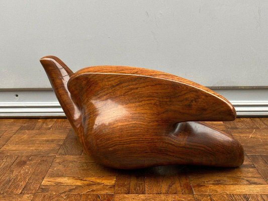 Modernist Free Form Sculpture in Wood, 1960-QKG-1331587